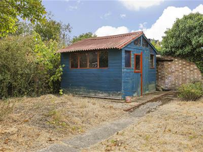 Picture 23